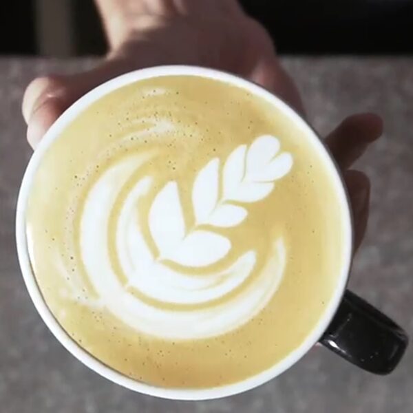 curso cafés especiais latte art origem coffee